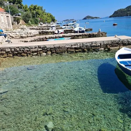 President By Guide * Brnistrova