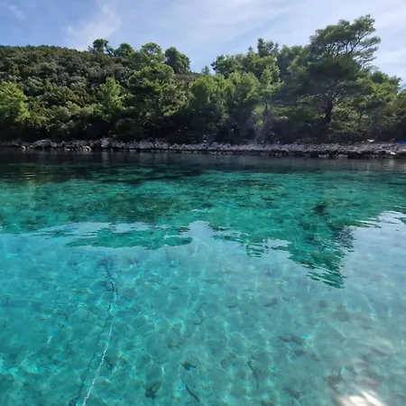 公寓 President By Guide